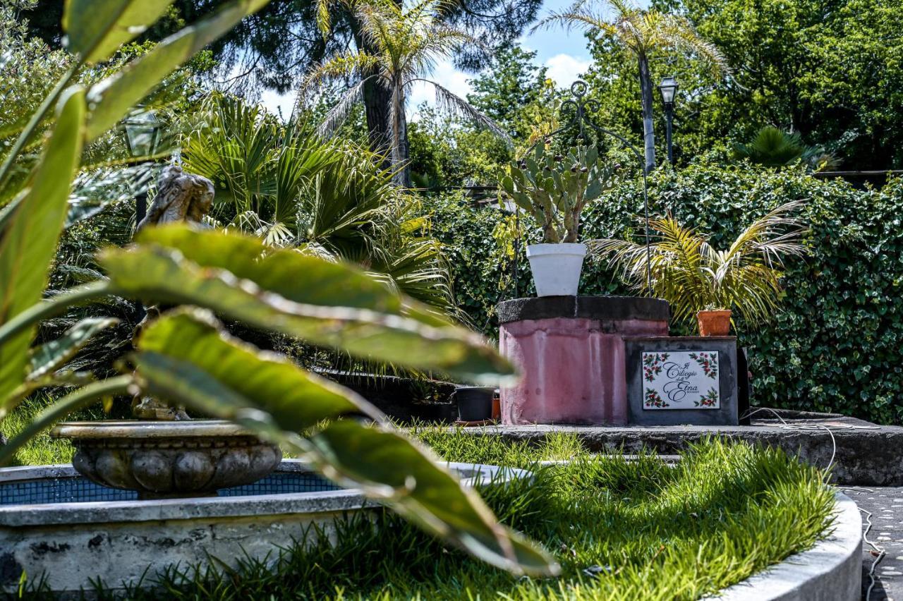 Il Ciliegio Dell 'etna Giarre