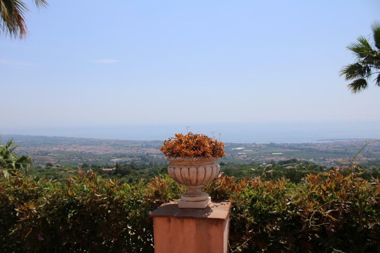 Il Ciliegio Dell 'etna